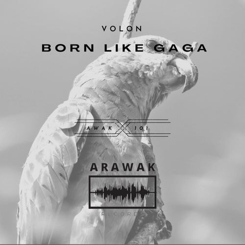 Volon - Born Like Gaga [AWAK101]